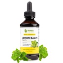 Maxx Kräuter Zitronen-Extrakt - Max Strength Liquid Tincture absorbiert besser als Kapseln oder Tee, für Nervous System Unterstützung, & Stress Management - Alkoholfrei - 4 Oz Flasche (60 Servierungen)