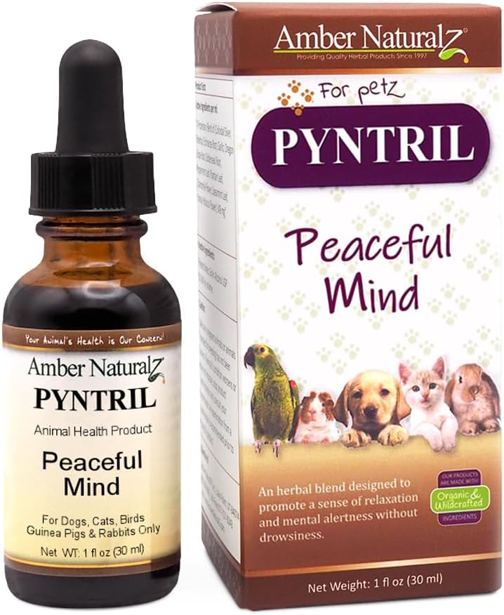 AMBER NATURALZ Pyntril Peaceful Mind Herbal Supplement für Hunde, Katzen, Vögel, Guinea-Pigs, und Kaninchen | Kräuter-Pet-Ergänzung für Entspannung | 1 Fluid Ounce Glasflasche | Hergestellt in den USA