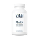 Vital Nährstoffe Choline 550mg | Vegan Choline Ergänzungen | 100% RDA für neurologische Entwicklung und Gesundheit* | Gluten, Dairy, Soy Free | Non-GMO | 120 Kapseln