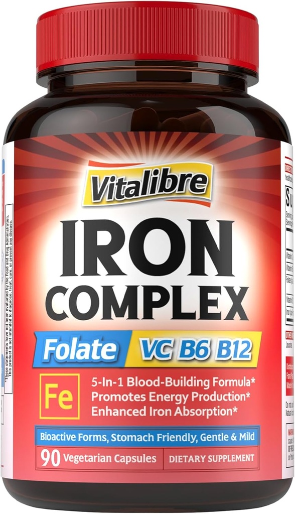 Eisen-Ergänzung für Frauen und Männer, mit Vitaminen C, B6, B12 & Folate für Iron Deficiency, Blood Building & Energy Support, Stomach Friendly, Better Absorption, Non-GMO, No Gluten, 90 Vegan Caps