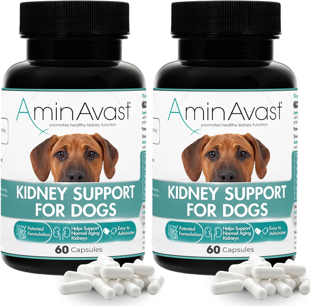 AminAvast Kidney Support Supplement für Hunde, 1000mg 2-Pack - Fördert natürliche Kidney-Funktion - Hilfsmittel in Gesundheit und Vitalität von Aging Kidneys - einfach verwaltet - 60 Sprinkle Capsules
