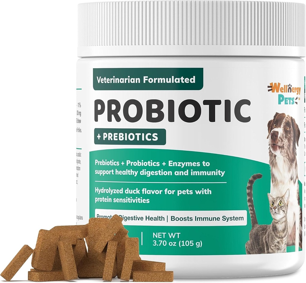 Wellnergy Daily Probiotic & Prebiotics Soft Chew for Dogs & Cats - Verdauungsunterstützung für Durchfall, Verstopfung, Magenverstimmung, Verdauung & Gas - Hilft Verdauung, Allergie Haut und Immungesundheit 70ct