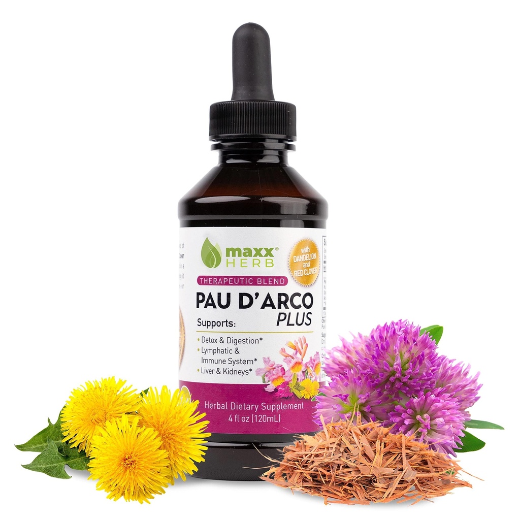 Maxx Herb PAU D’Arco Extrakt mit Dandelion Root & Red Clover Therapeutic Blend, PAU Darco Tinkture absorbiert besser als Taheebo Tee oder Kapseln, für Immununterstützung - 4 Oz Bottle (60 Servierungen)