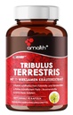 Amalth Tribulus Terrsestris, 20:1 Extrakt pro Servierung, Höchste Potenz mit Ashwagandha, Saw Palmetto, Shilajit 120 Kapseln