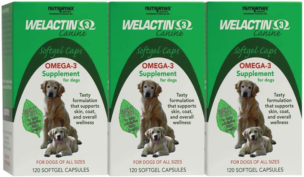 Nutramax Welactin Omega-3 Fish Oil Skin and Coat Health Supplement Flüssigkeit für Hunde - 3 Pack, 360 Total Softgels