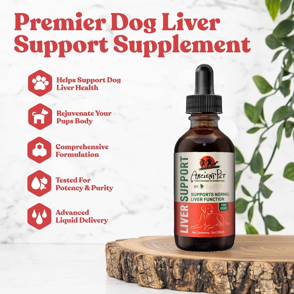 Antike Pet Liver - Advanced Liver Support Supplement für Hunde - Flüssige Lieferung für bessere Absorption - Milchdistel, Dandelion, Artichoke &amp; Mehr!