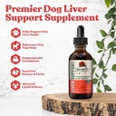 Antike Pet Liver - Advanced Liver Support Supplement für Hunde - Flüssige Lieferung für bessere Absorption - Milchdistel, Dandelion, Artichoke &amp; Mehr!