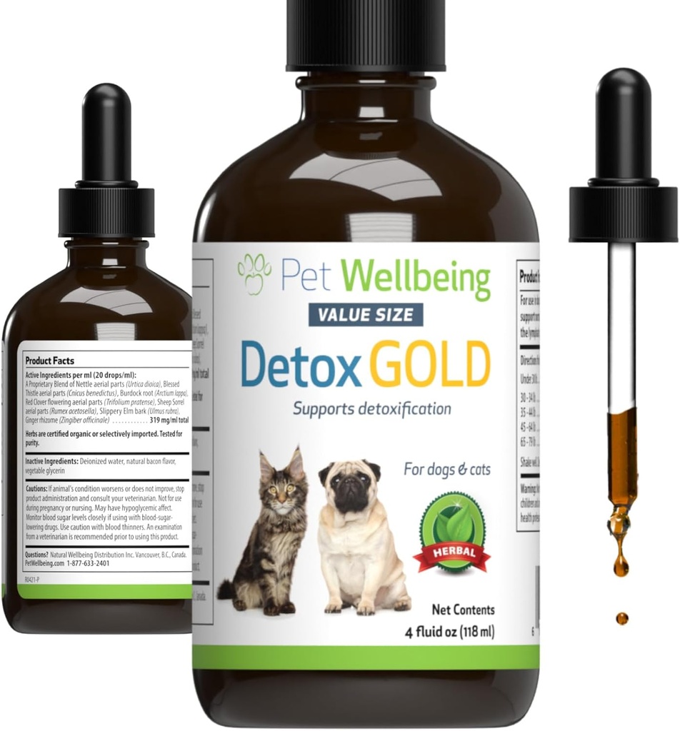 Pet Wellbeing Detox Gold für Hunde & Katzen - Gentle Detoxification & Elimination Support, Immunsystem Care, Nettle, Blessed Thistle - Veterinarian-Formulierte Kräuterergänzung 4 oz (118 ml)
