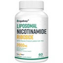 Orgabay Liposomal Nicotinamid Riboside 2000 MG mit TMG und Pterostilbene, Boosting NAD+, Support Healthy Aging, 60 Count