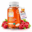 Eine Dose der Kinder Immununterstützung Gummie - Tägliche Immun Booster Ergänzung Quercetin Gummie für Kinder mit Vitamin B Complex, Vitamin C, Zink, Vitamin D, Quercetin Bromelain, Echinacea - 60 Count
