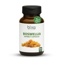 bixa BOTANICAL Boswellia Serrata Extrakt reine Premium-Qualität 65% Boswellic Säure | Ayurvedic natürliche Kräuterergänzung | (450 Mg 60 Veg Kapseln)