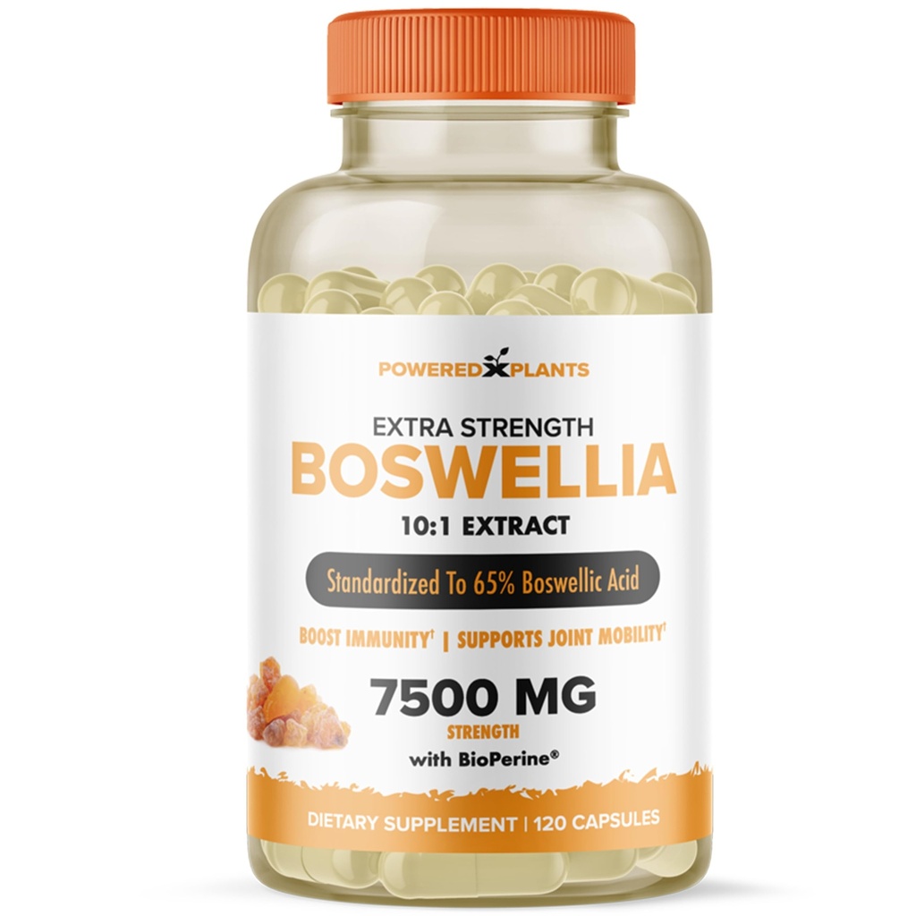 Boswellia Serrata Extract Joint Support Supplement von Pflanzen – 65% High Potency Boswellic Acids mit BioPerine – unterstützt Immunität, Mobilität & Flexibilität – 120 Vegan Capsules