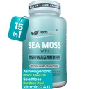 Herbtonics Sea Moss, Black Seed Oil, Ashwagandha, Burdock Root & ACV Complex | Boost Immunity, Reduce Stress, Support Digestion | All-in-One SeaMoss Capsules | 60 Kapseln