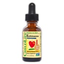 CHILDLIFE ESSENTIALS Echinacea für Kinder - Kinder Echinacea Tropfen, Flüssige Tinktur, Alkoholfreie Ergänzung für Babys, Kleinkinder, Kinder - Natürliche Orange, 1 Fl Oz (Pack von 1)