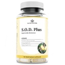 Nature Restore S.O.D. Superoxid Dismutase Supplement, 4.000 IU SOD-Like Aktivität, Vegan, 90 Kapseln, Non-GMO, Glutenfrei