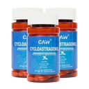 CAW Hypersorption Cycloastragenol 5Mg | Telomerlängenunterstützung | DNA Health Immunity Boost Anti-Aging | 30 Enteric-Coated Kapseln (3 Flaschen)
