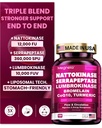Nattokinase Supplement 12,000 FU (Max Strength) Serrapeptase 360,000 sPU, Lumbrokinase 10,000 FUV & CoQ10 -Systemic Enzymes Complex for Cardiovascular & Circulatory Health Support-100 Capsule