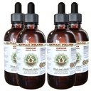 Onion Alcohol-Free Liquid Extract, Onion (Allium Cepa) Dried Bulb Glycerite Natural Herbal Supplement, Hawaii Pharm, USA 4x4 fl.oz