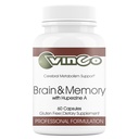 Vinco Inc - Brain & Memory Cognitive Support Daily Supplement | (60 Capsules) | Supports Focus, Memory & Processing | Made w/Amino Acids & Herbal Extracts | Gluten Free