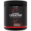 Regel 1 Proteine Charged Creatine - Multi-Function Workout Supplement mit Kreatin, Elektrolyt und Energie Blends für Intensität, Leistung und Hydration Unterstützung (30 Servings, Mandarin Mango)