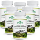 Wirkstoff Hexose korrelierte Verbindung 1500 mg Supplement, Natürliche 8 Pilzextrakt Ergänzung, Immunsystem, Leberfunktion, natürliche Killer und T-Zellen Aktivität, 540 Veggie Kapseln