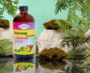 Soursop Bitters Liquid Natural Wellness Liquid 16 oz