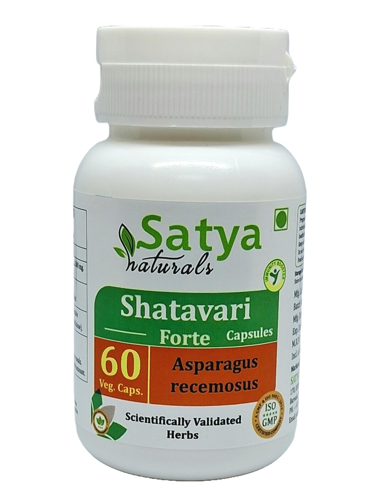 Shatavari Forte Capsules 500 mg. 60 Veg. Capsule | Shatavari (Asparagus Racemosus) Extract Capsules for Men and women | Ayurvedic Herbal Supplement/Remedies | 10:1 Forte (1 Bottle of 60 Capsules)