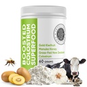 Intestinal Fortitude Boosted Colostrum Superfood Dietary Supplement: Grass-Fed New Zealand Bovine Colostrum, Gold Kiwifruit, Manuka Honey, for Digestion, Immune System, and Gut Health (150 Grams)