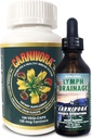 Carnivora The Ultimate Combo - Vegi Caps und Lymphdrainage zur Unterstützung von Immunsystem und Flush Out Waste (Bundle mit 1 Flasche Vegi Caps und 1 Flasche Lymphdrainage)