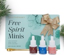 Apothékary Free Spirit Minis Set | New Edition, Kräuterflüssigkeit Tropfen, beinhaltet Wein nach unten, Rosé-Tinted Gläser, Nehmen Sie den Rand Off & 1 Gold Spoon, Zuckerfrei, 3 Flaschen,15 Servierungen pro Flasche