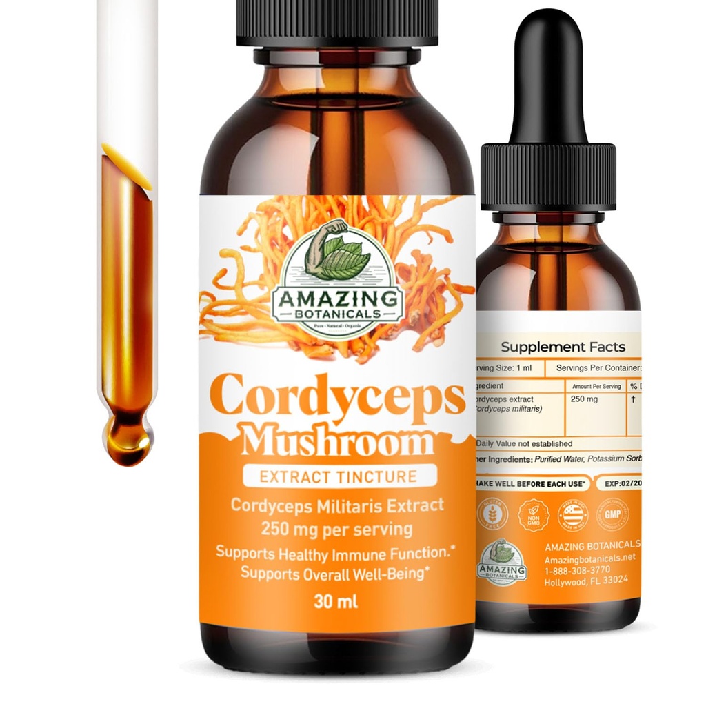 Cordyceps Mushroom Extract Fruiting Body Tincture – 250mg per Serving – Dual Extract Liquid Supplement – Energy & Endurance Support – Vegan, Non-GMO, USA Made, Sugar & Alcohol-Free Drops – 1oz/30mL