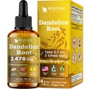 4 Oz Dandelion Root Extract Liquid Drops - Liver & Kidney Support | 2 Month Supply | - Made in USA - Liver Support Supplement - Alcohol & Sugar Free