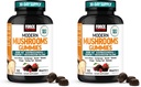 Force Factor Modern Mushrooms Gummies, Fruiting Body Mushroom Blend + KSM-66 Ashwagandha to Support Calm, Focus, Clarity, Stress & Immune Health, Mixed Berry Flavor, 90 Gummies (Pack of 2)