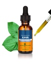 Herb Pharm Organic Kava Root Liquid Extract for Stress Relief & Relaxing*: Vegan Kava Extract, Non-GMO Kava Kava Tincture für ruhige und entspannte Stimmung, Glutenfrei, 1 Oz
