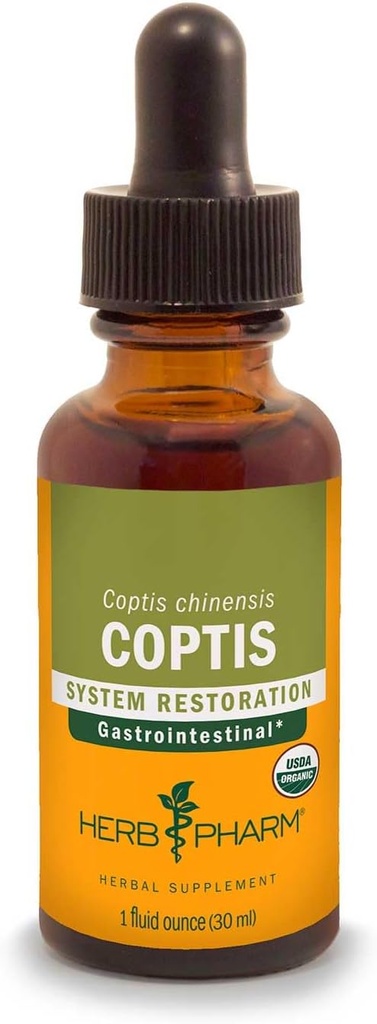 Kräuter Pharm Coptis Flüssiger Extrakt für Verdauungsunterstützung, 1 Fl oz