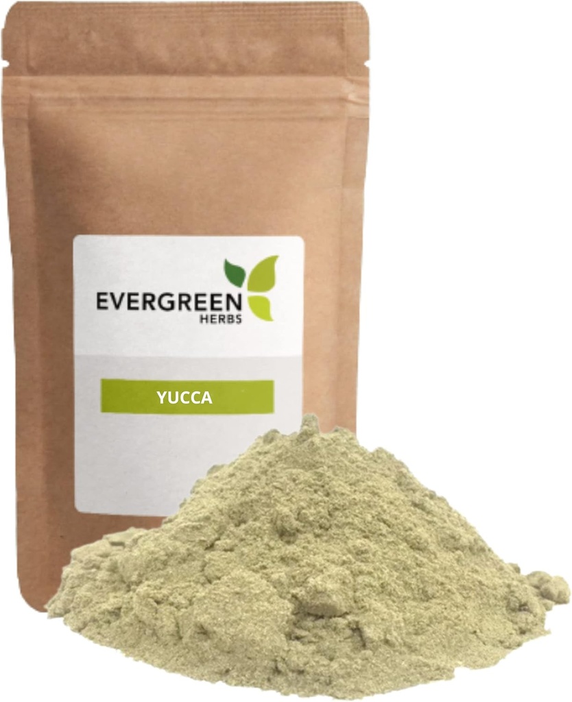 Evergreen Kräuter Yuca Pulver - Yucca Pulver - 8 oz. - Wiederverschließbarer Stand Up Pouch, um Frische zu gewährleisten!