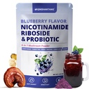 Blueberry Superfood Powder, Nicotinamide Riboside & Probiotics for Immune Support, Gut Health, 6 Mushrooms | Lion's Mane, Chaga, Reishi Extract | Vegan, Non-GMO, Gluten-Free, 6.35oz