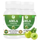 Amla Capsules 500mg – Organic Indian Gooseberry Extract | Natural Vitamin C & Antioxidant | Supports Immunity, Digestion, Skin & Hair Health | Vegan Herbal Supplement (Pack of 2)