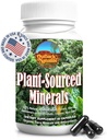 Fulvic Humic Mineral Blend of Trace Minerals, Elektrolyte, Gut Health, Kognitive Funktion, Hydration & Immununterstützung, Pure Vitality Formula for Wellness - 60 Kapseln