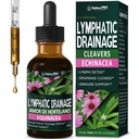 Cleavers Lymphatic Drainage Drops, Herbal Lymph Detox & Immune Support Blend with Echinacea & Cat’s Claw, Botanical Cleanse Formula, 2 oz