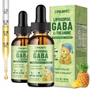 2 Pack Liposomal GABA L-Theanine Drops for Kids - Liquid GABA Supplement with Magnesium, Chamomile, Lemon Balm & Vitamin B6 - Support Relaxation, Focus & Stress Relief for Kids & Adults - Pineapple