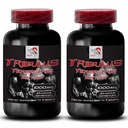 Energy Empowerment Blend - TRIBULUS TERRESTRIS Extract - Natural Muscle Source, Stamina Support Mix, Daily Energy Support, Body Strength Formula, Dynamic Energy System, Active 2 Bottles 180 Tablets