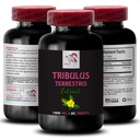 Strength Surge - TRIBULUS TERRESTRIS EXTRACTS - Pure Energy Support, Energy Source, Strength Boost, Stamina Power, Physical Power Booster, Muscle Recovery Support, Energy Recharge 1 Bottle 60 Tablets