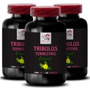 Natural Power - TRIBULUS TERRESTRIS EXTRACTS - Dynamic Strength Boost, Physical Support, Body Energy, Pure Muscle Formula, Daily Surge, Plant-Based Power, Active Strength Focus 3 Bottles 180 Tablets