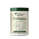 Great Lakes Wellness Collagen Peptides Powder – Supports Skin, Hair, Nails, Joints & Digestion – Hydrolyzed, Quick Dissolve, Non-GMO, Keto & Kosher – Pure Collagen Protein (20 oz, 28 Servings)