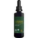Global Healing USDA Organic Elderberry & Echinacea Liquid Supplement Tincture | Antioxidant Immununterstützung gegen schädliche Organismen für Erwachsene und Kinder, Vegan, Non-GMO, 1-Monats-Versorgung (2 Oz)