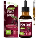 Poke Root Lymphatic Drainage Drops. 8-in-1 Herbal Complex Lymphatic Cleanse Supplements w/Cleavers, Echinacea & Horsetail Herb Extract Blend. Supports Lymph System & Immunity. Non-GMO. 2 oz