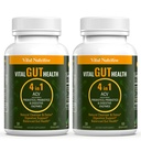 Vital Gut Health 4in1 Formula with Apple Cider Vinegar, Prebiotics & Probiotics, Digestive Enzymes for Strong Immunity Support and Complete Gut and Digestion Support- 60 Days Supply