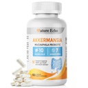 Akkermansia Probiotic Supplement, 10 Billion Cells Probiotics for Men & Women Supports Intestinal Digestive & Gut Health, Vegan, Non-GMO, 60 Caps