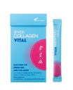 Vital | Electrolytes Powder No Sugar | Hydration Drink Mix with Hydrolyzed Collagen Peptide Powder | Recovery Drink After Exercise | 30 Stick Packets